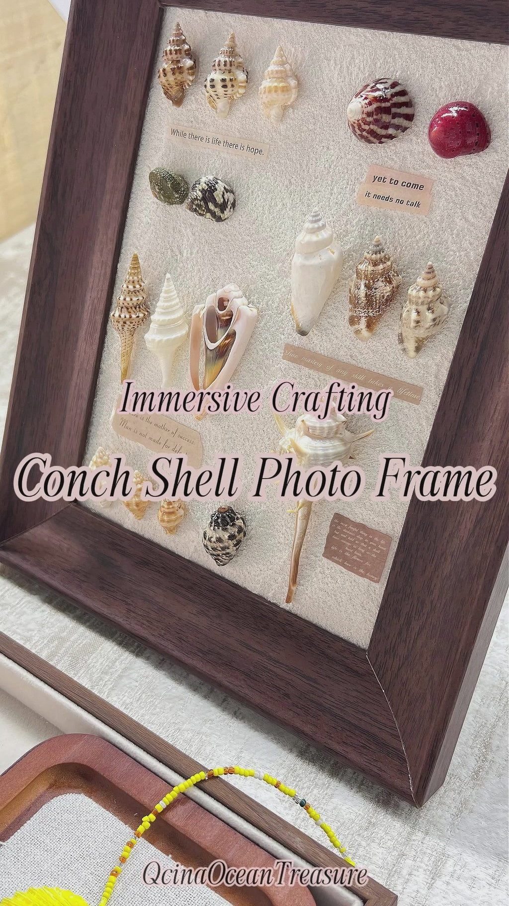 Ocean Seashell Shadow Box Framed Art, One‑of‑a‑Kind Coastal Home Decor