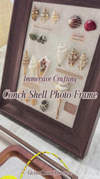 Ocean Seashell Shadow Box Framed Art, One‑of‑a‑Kind Coastal Home Decor